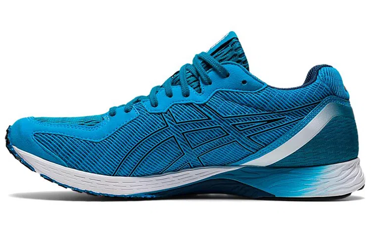 Asics Tartheredge 2 Blue White