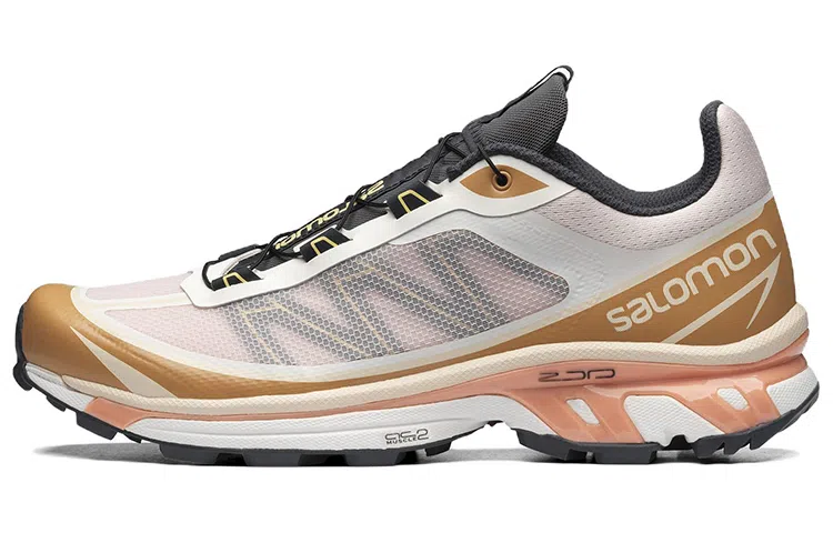 Salomon XT-6 FT White Gold