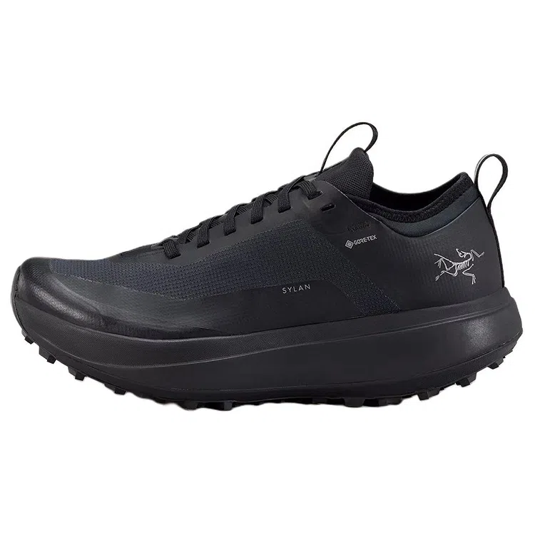 Arcteryx SYLAN GTX
