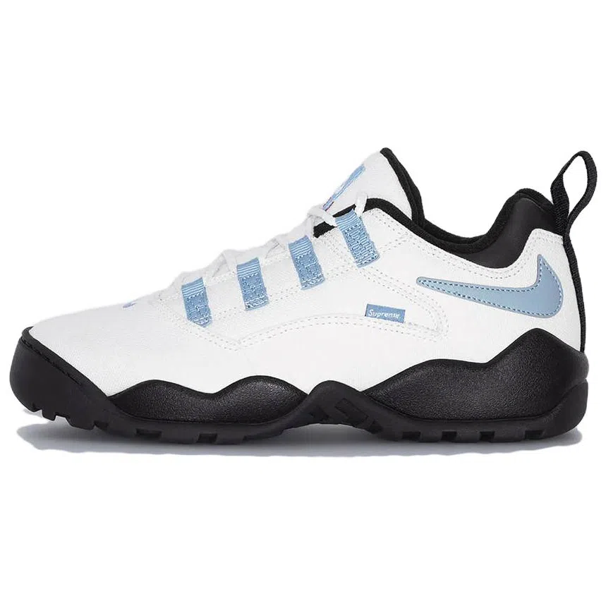 Supreme x Nike SB Darwin Low White