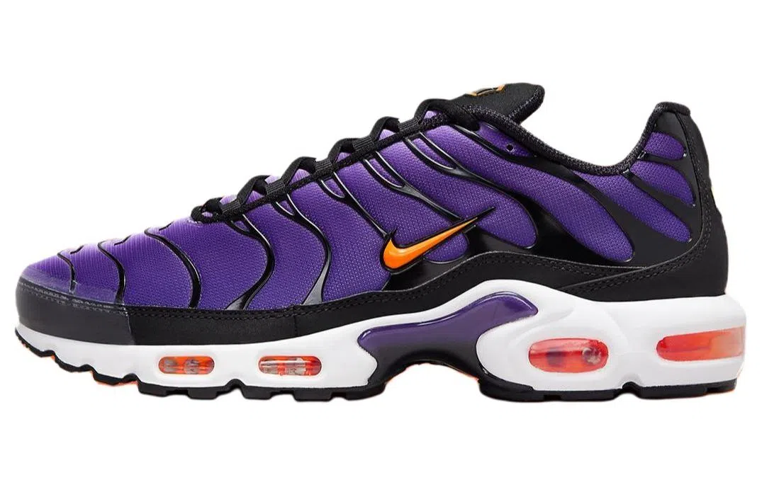 Nike Air Max Plus Purple Black