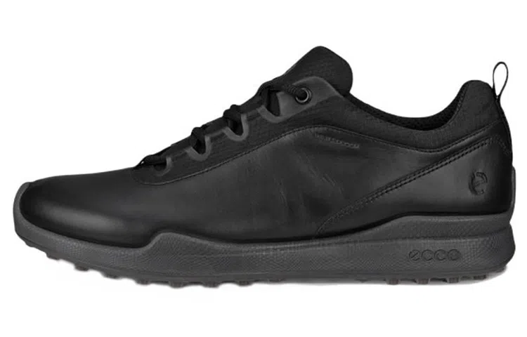 Ecco Biom Hybrid 1