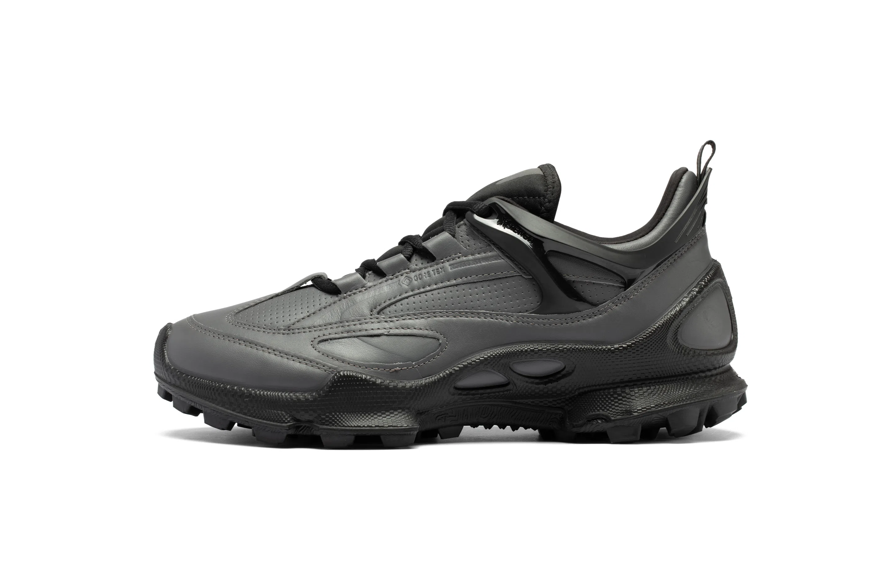 ecco Biom C Trail