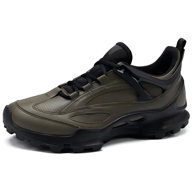 Ecco Biom C Trail