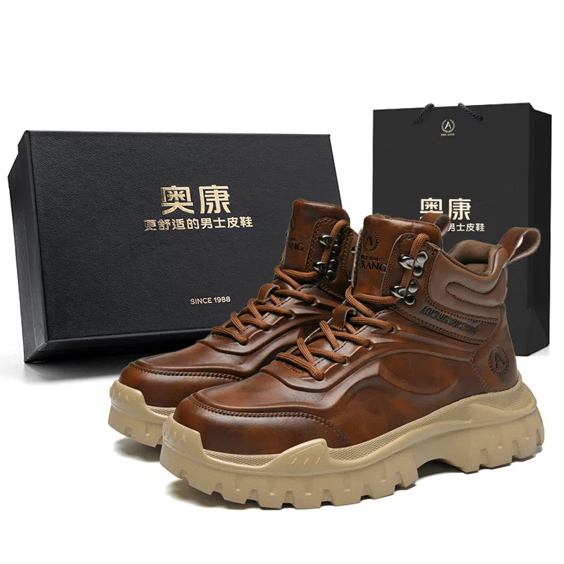 Aokang Dragon Knight