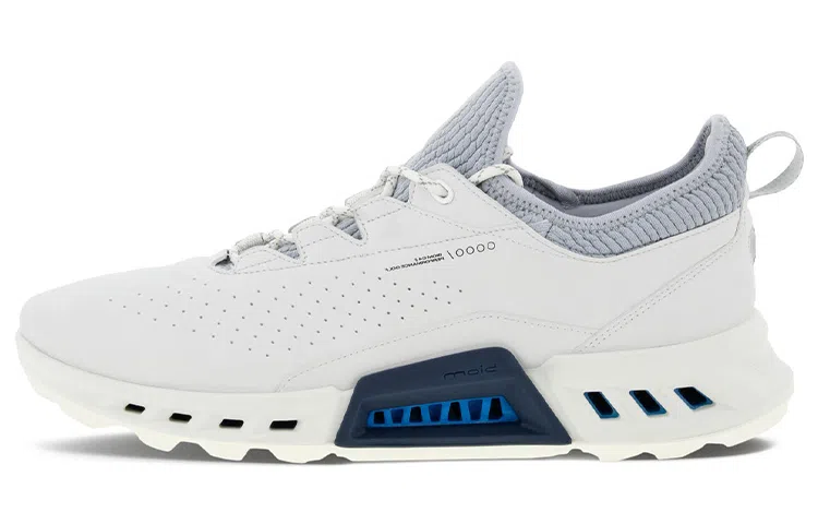Ecco Biom C4 Blue Grey