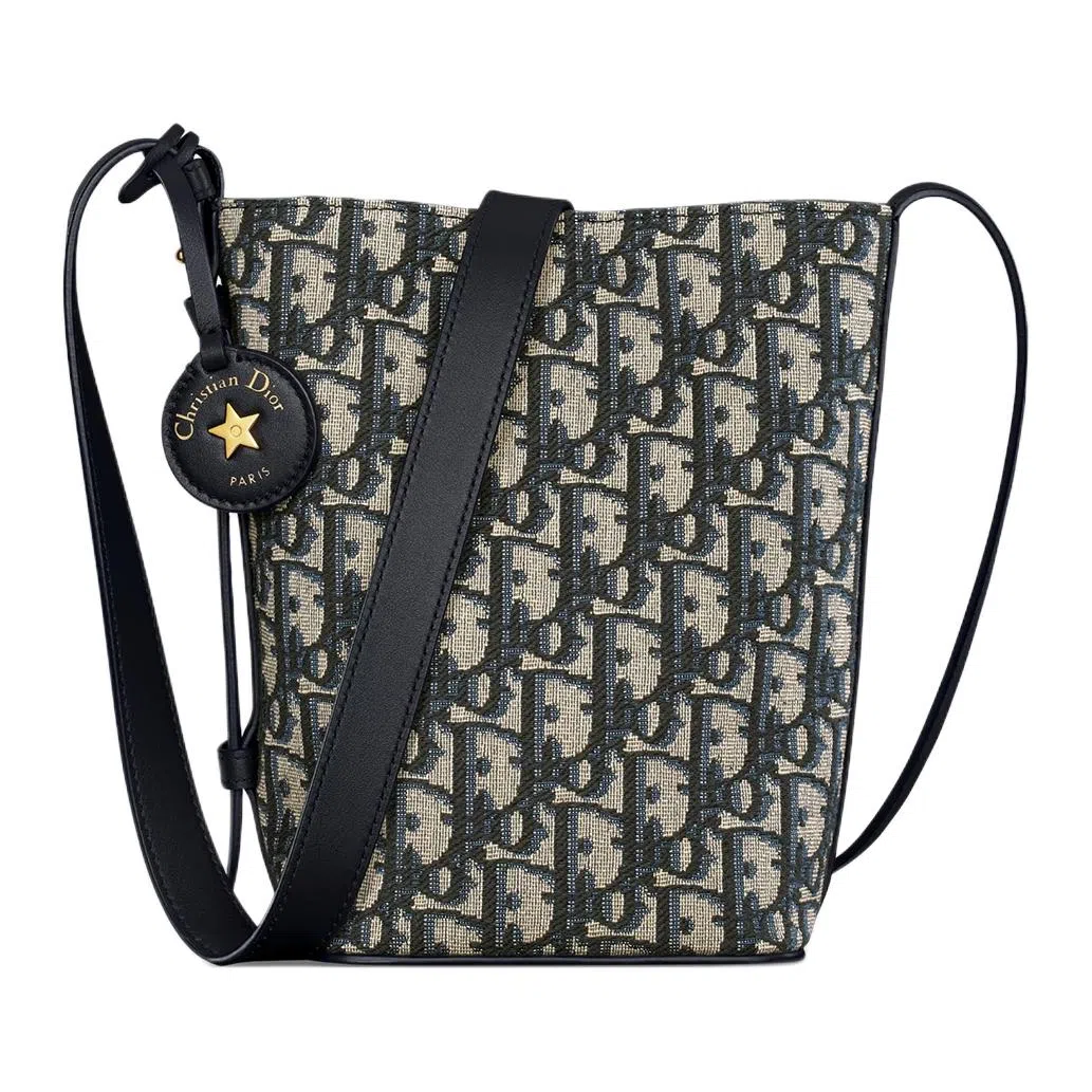 DIOR Diorstar Oblique