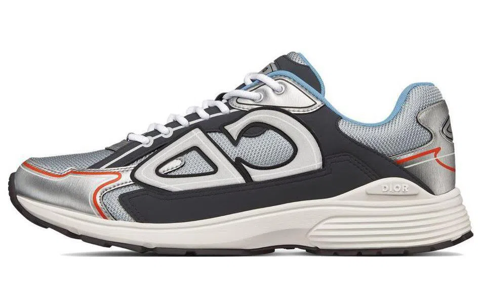 Dior B30 Grey Silver