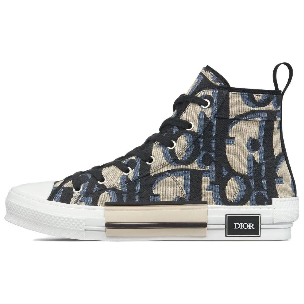 Dior B23 High-Top Canvas