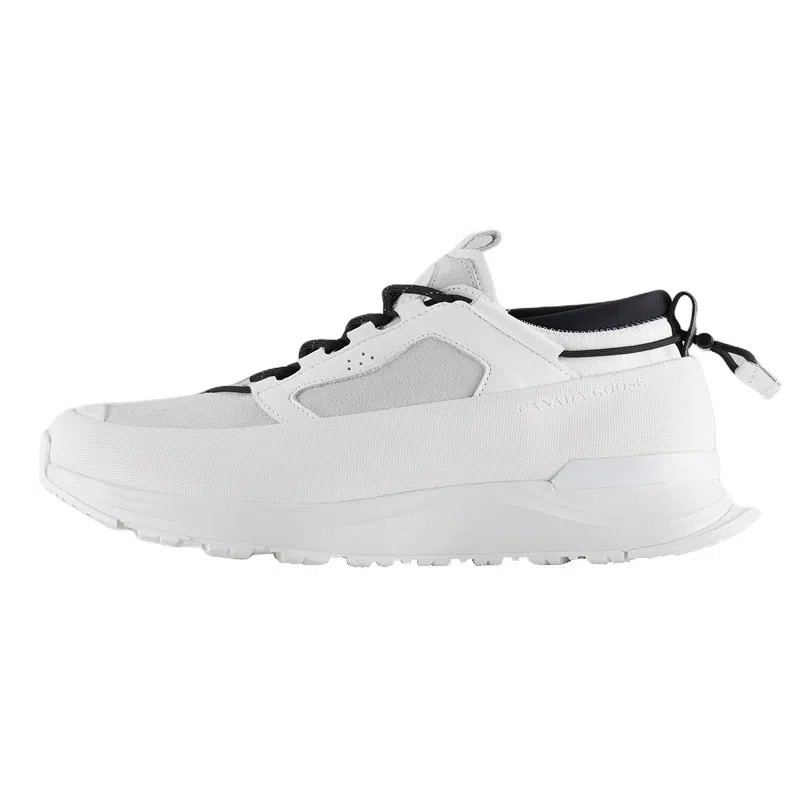 Canada Goose Glacier Trail