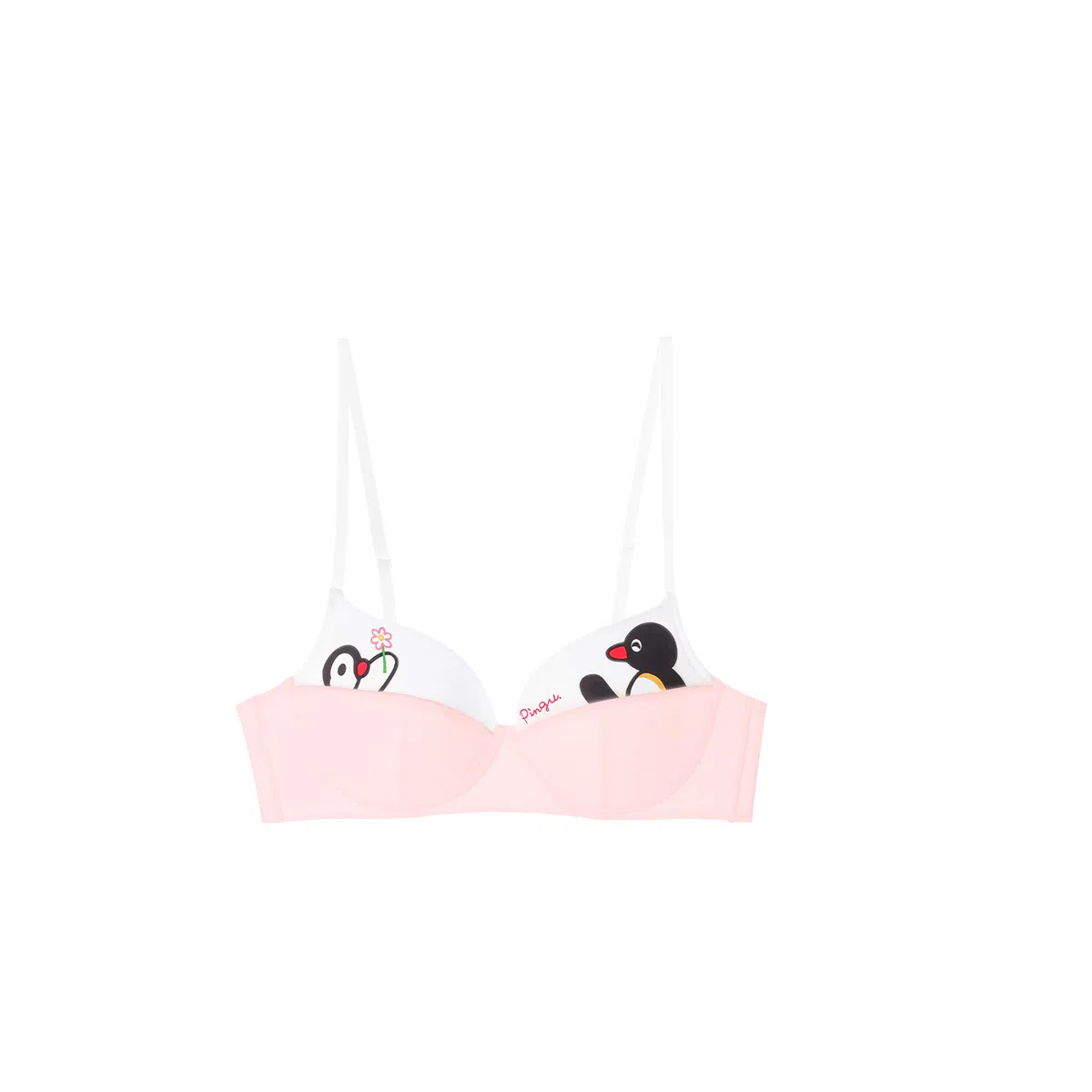 MISS CURIOSITY Pingu