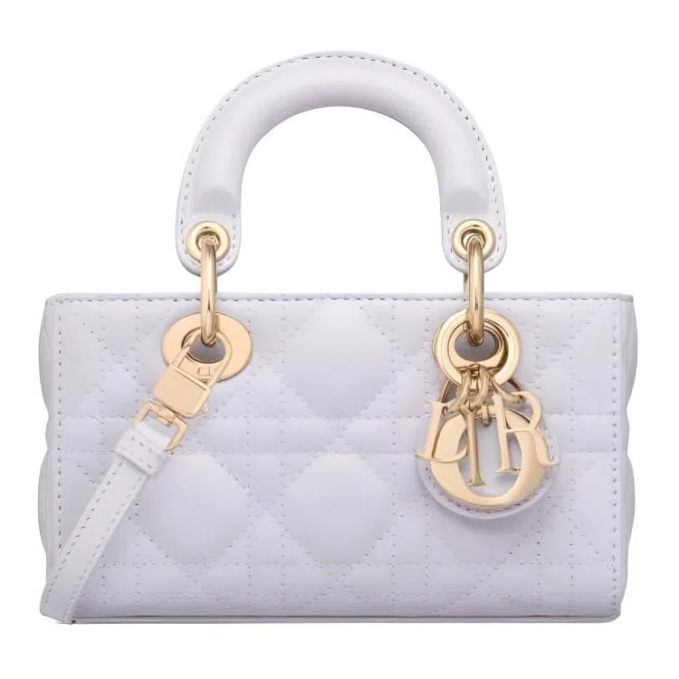 DIOR Lady D-Joy