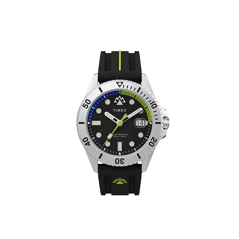 Timex Quartz Black Dial Men's Watch