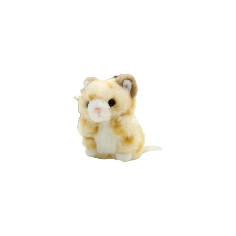 TAKENOKO 6CM