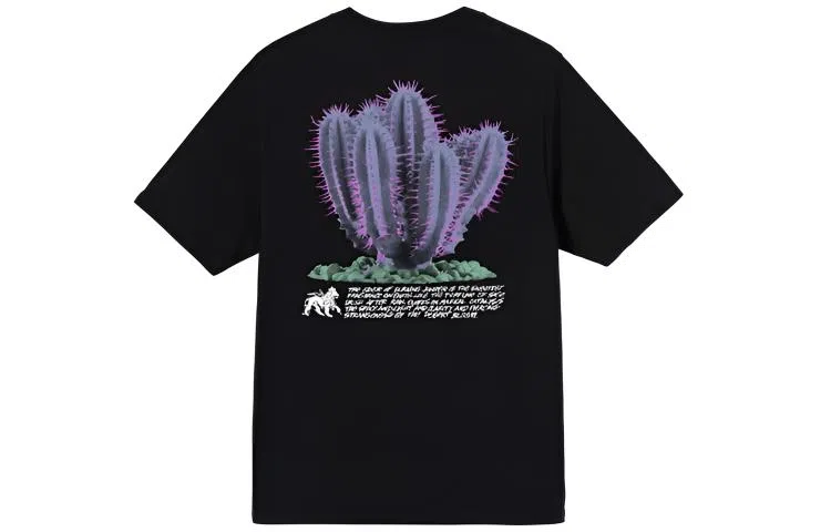 Stussy Desert Bloom Tee
