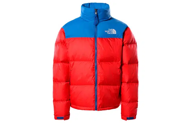THE NORTH FACE 1996 Nuptse 700