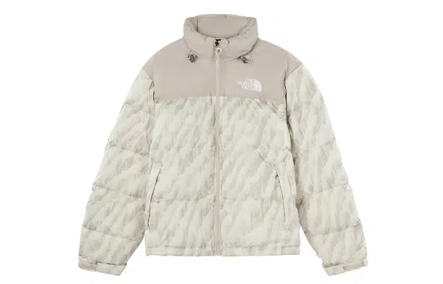 The North Face 1996 Retro Nuptse Silver Grey White