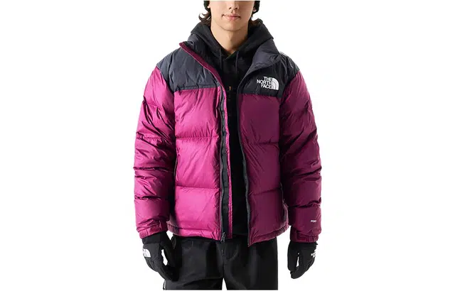 The North Face 1996 Series