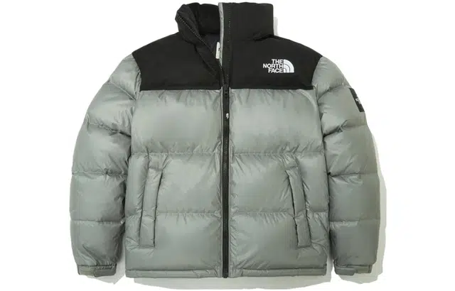 The North Face Novelty Nuptse Down Jacket