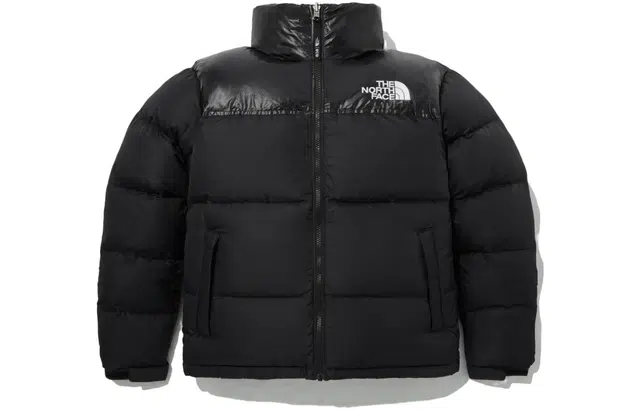 The North Face 1996 Eco Blue Nuptse Jacket