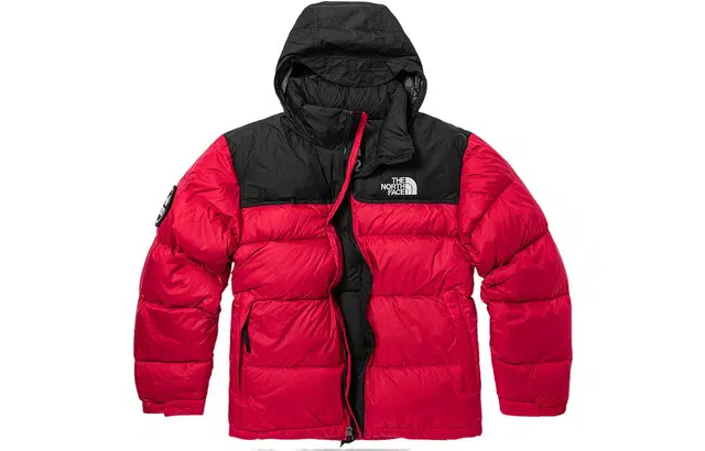 THE NORTH FACE 1992 30 Logo